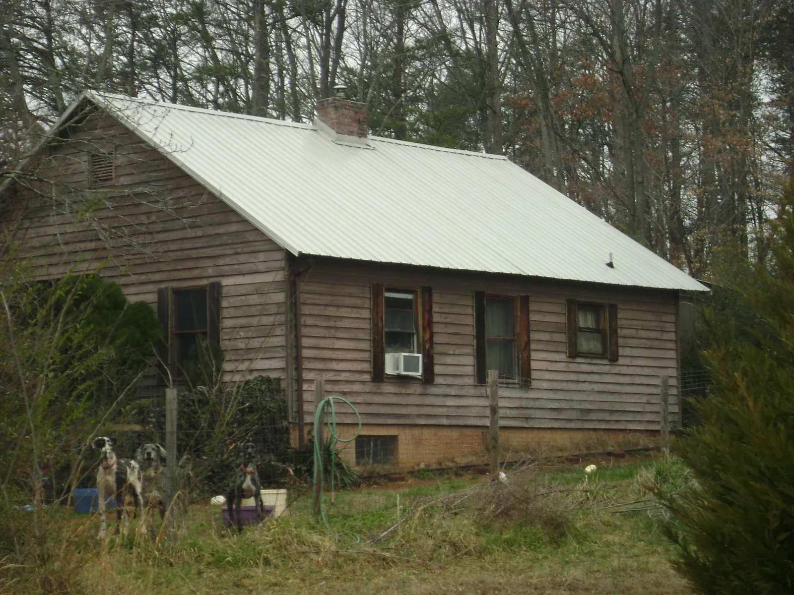 White metal roof on an old wood sided farmhouse, from a Asphalt Shingle Roof Repair job in Horse Creek